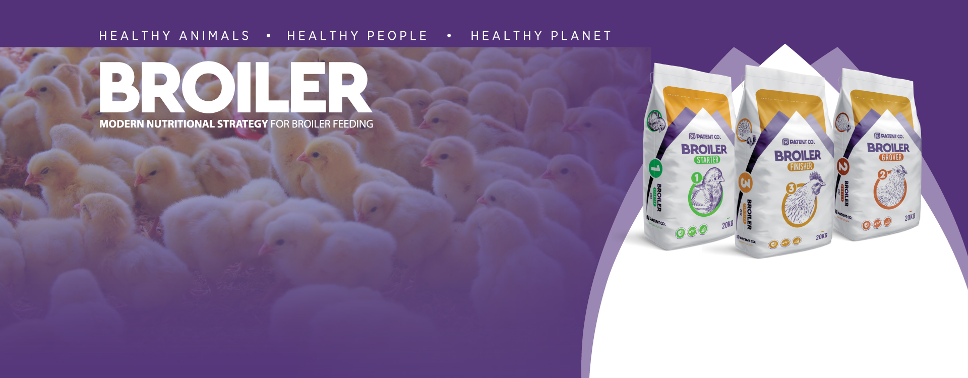 STARTER, GROVER, FINISHER