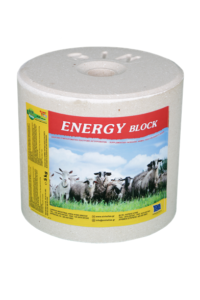 ENERGY BLOCK