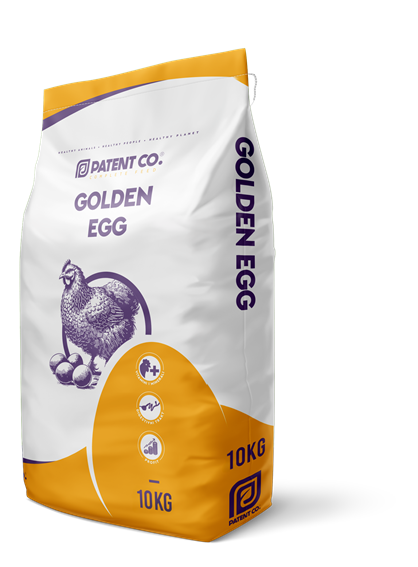 GOLDEN EGG