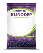 KLINODEP